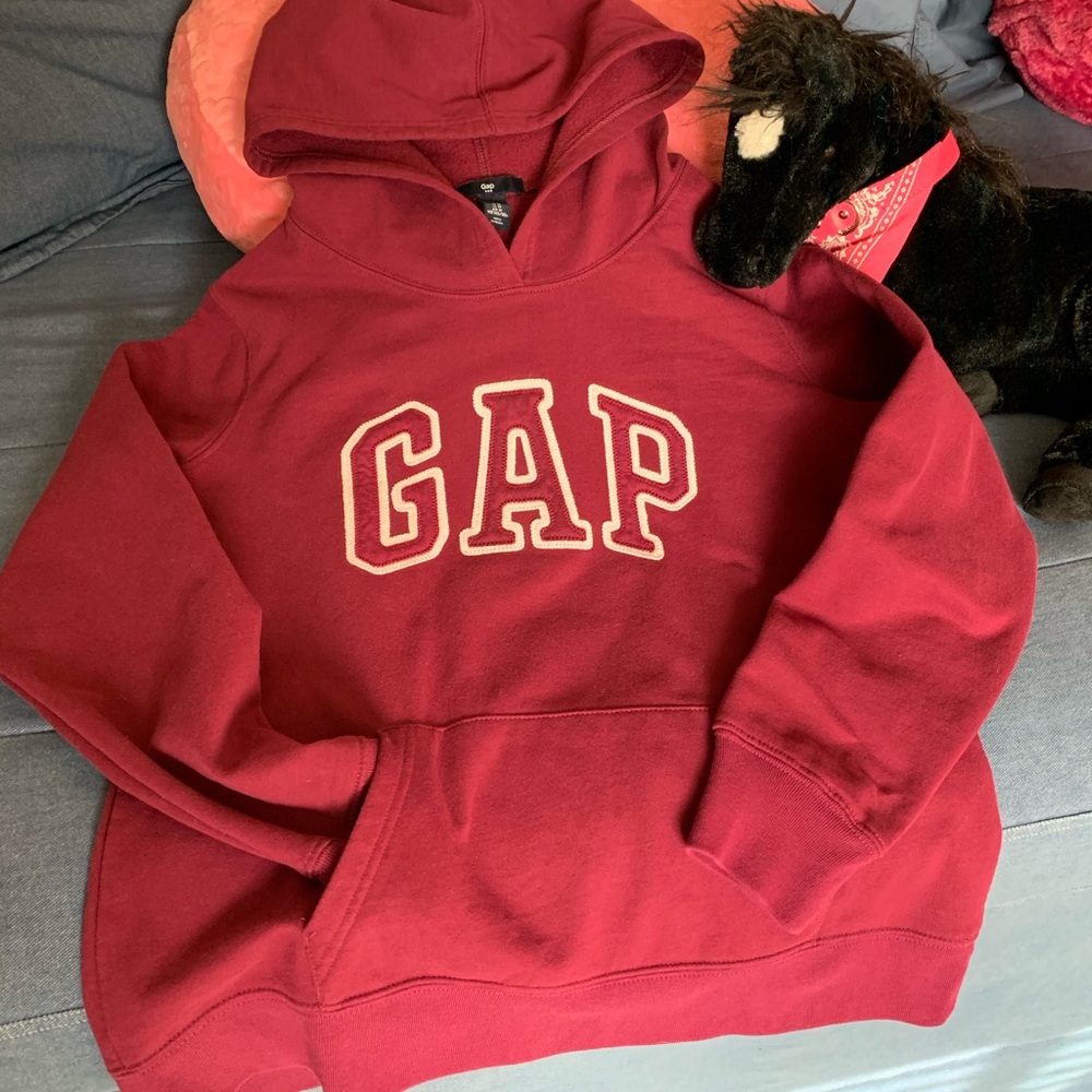 🌺🌺 Gap Hoodie - Picture 2 of 8
